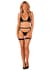 Комплект білизни Obsessive Selinne 3-pcs set XL/2XL Black, бюстгальтер, стрінги пояс для панчіх
