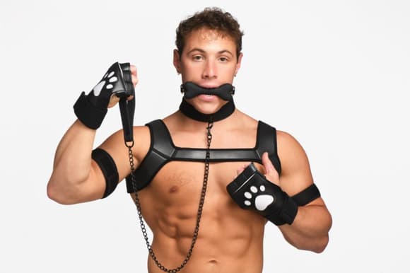 Набор BDSM щенка Master Series Luxury Pup Arsenal Set - Black