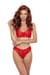 Комплект Passion DENELIA SET red S/M