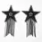 Пестис-зірки з бахромою JSY Nipple Sticker RT236112 Black, стікери