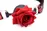 Кляп �з трояндою Master Series: Eye-Catching Ball Gag With Rose, чорно-червоний