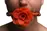 Силиконовый кляп с розой Master Series: Blossom Silicone Rose Gag – Red