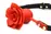 Силиконовый кляп с розой Master Series: Blossom Silicone Rose Gag – Red