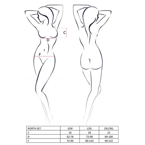 Комплект белья Passion Exclusive NORTH SET XXL/XXXL, black, лиф и трусики с элементами под латекс