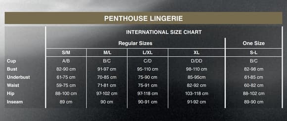 Боді Penthouse Salute Me XL Black (дефекти на пакованні!!!)
