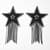 Пестис-звезды с бахромой JSY Nipple Sticker RT236112 Black, стикеры