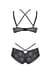 Комплект Passion DROSERA BIKINI black, XXL/XXXL, бюстгальтер и трусики-кюлоты