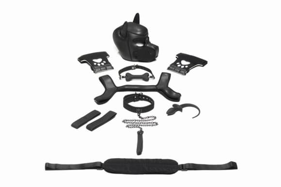 Набір BDSM цуценя Master Series Luxury Pup Arsenal Set - Black