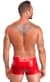 Мужские шорты Noir Handmade H097 Ignite shorts XXL